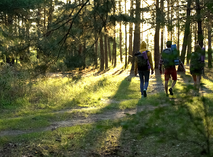 three hikers walking on forest path during sunset peaceful nature eight trails adventure outdoor exploration