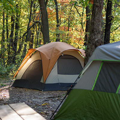 camping tents set up in a forest during autumn with colorful leaves showcasing a peaceful outdoor experience perfect for seven adventurers