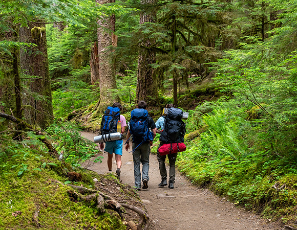 three hikers walking on a trail through a lush green forest carrying backpacks and camping gear enjoying nature with seven beautiful trees in the background