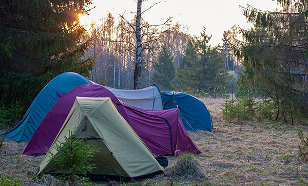 colorful camping tents set up in a forest clearing at sunrise with trees in the background ideal for outdoor adventures and relaxing trips